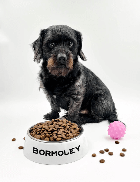 Miska pre Psa s Vlastnou Potlačou | s menom psíka