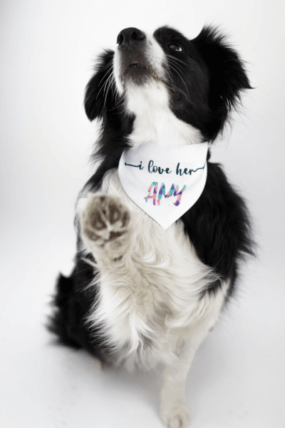 Šatka pre Psa s Potlačou 32 - 38 cm | Vytvor si Šatku