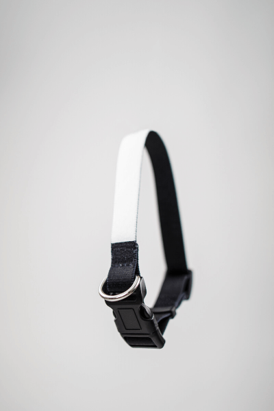 Psí Obojok s Vlastnou Potlačou (S) | Puppynator.sk