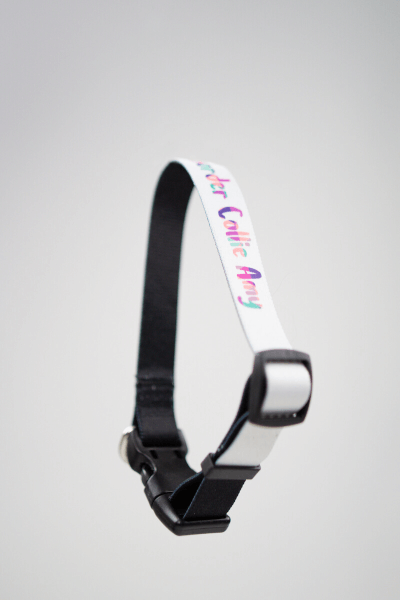 Psí Obojok s Vlastnou Potlačou (S) | Puppynator.sk