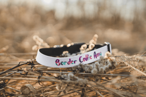 Vlastná Potlač na Obojok pre Psa (M) | Puppynator.sk