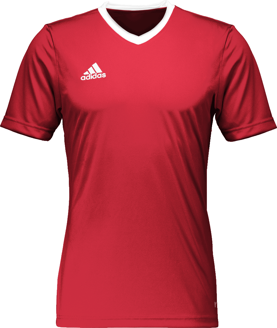 Potlač na Dres Adidas Entrada 22 Krátky Rukáv na Tréningy